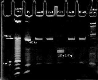 Virus del Papiloma Humano VPH HPV - tratamiento del hpv (VPH)